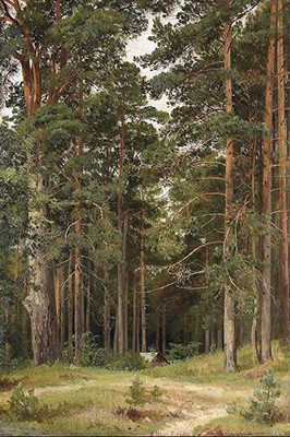 Летний день, Мерикюль