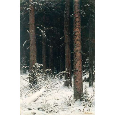 Еловый лес зимой, 1884