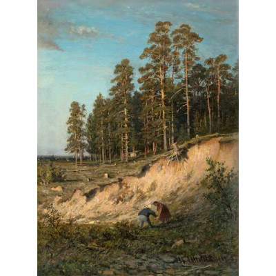 Опушка леса