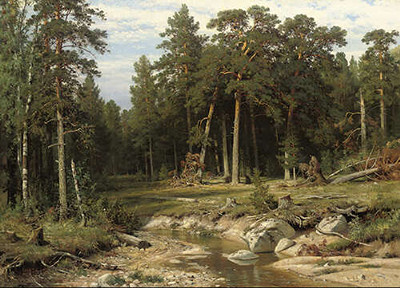 Щогловий сосновий ліс у Вятській губернії, 1889