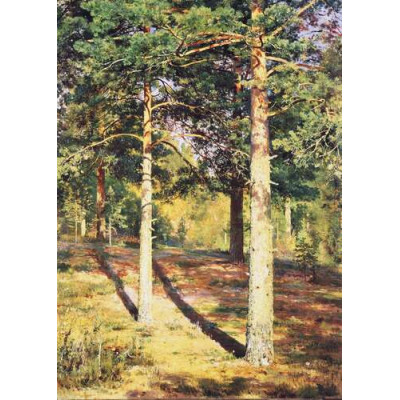 Сосновый лес, освещенный солнцем (Сосны в солнечном свете), 1886 г.