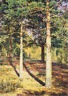 Сосновий ліс, освітлений сонцем (Сосни у сонячному світлі), 1886 р.
