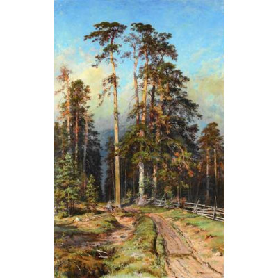 Сосновий ліс (Сухостий), 1897