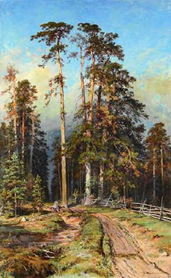 Сосновий ліс (Сухостий), 1897