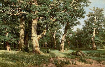 Дубовая роща