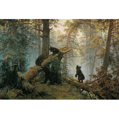 Утро в сосновом бору. Morning in a Pine Forest