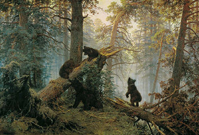 Утро в сосновом бору. Morning in a Pine Forest