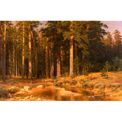 Корабельная роща, 1898