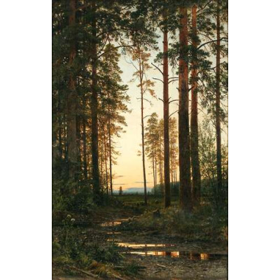 Сумерки, 1883