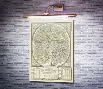 Єзуїтська географічна книга, Жак Кретіно-Жолі, 1762 р