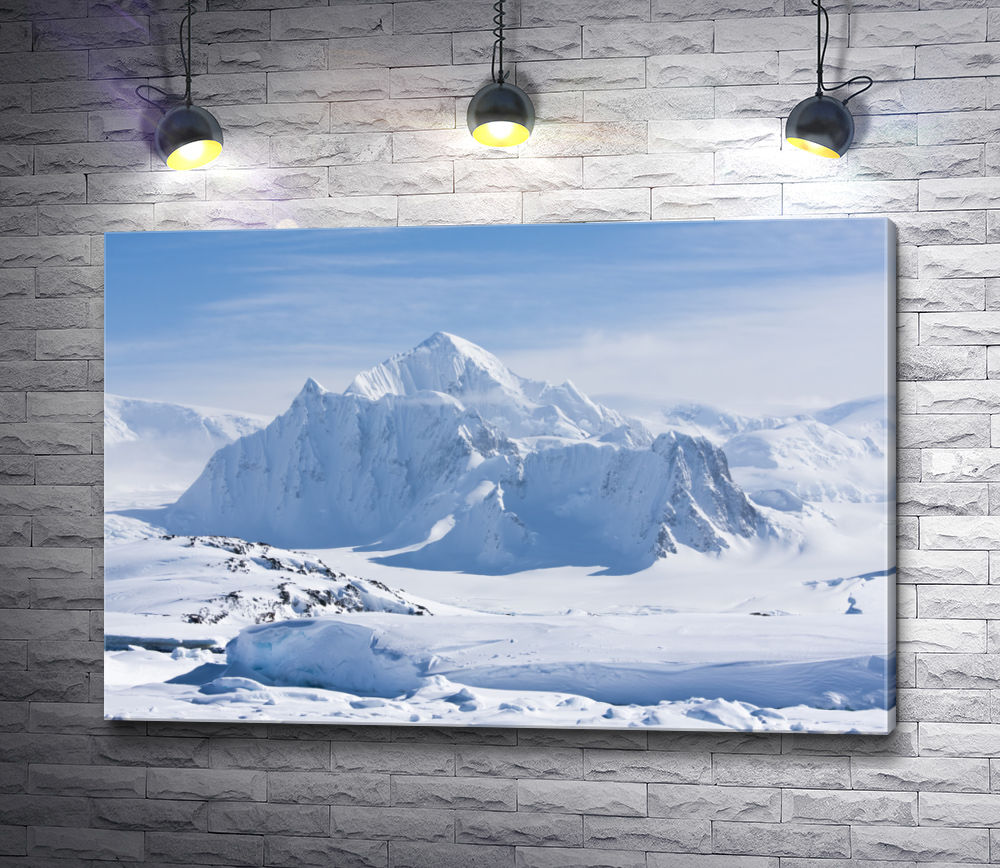 Картина "Завораживающая Антарктика"