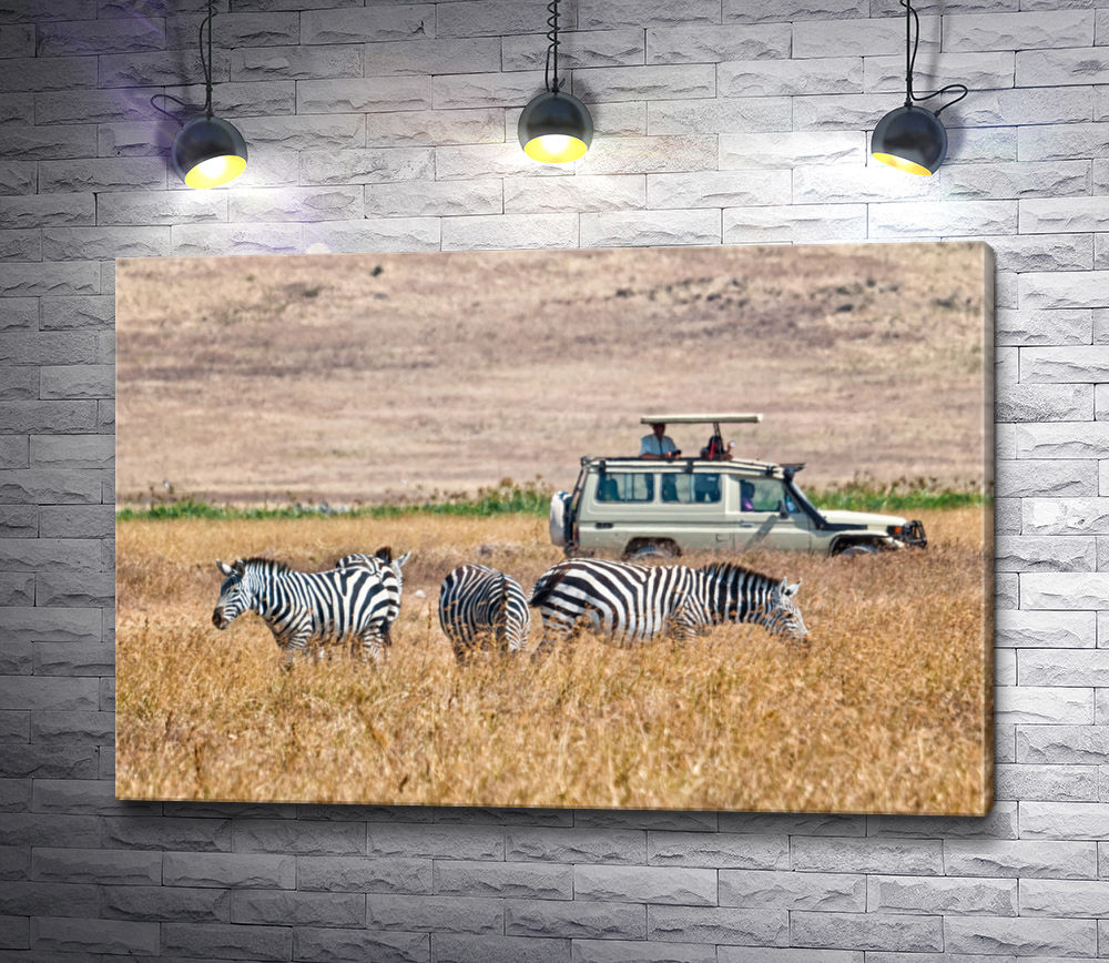 Картина "Зебры в Сафари "