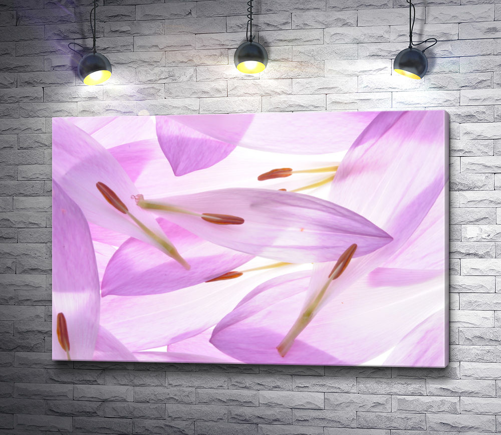 Картина "Лепестки безвременника лилового"
