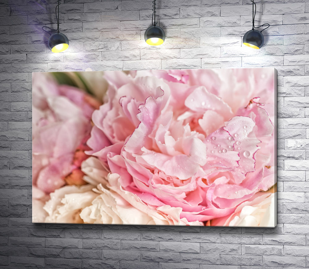 Картина "Нежно-розовые пионы "