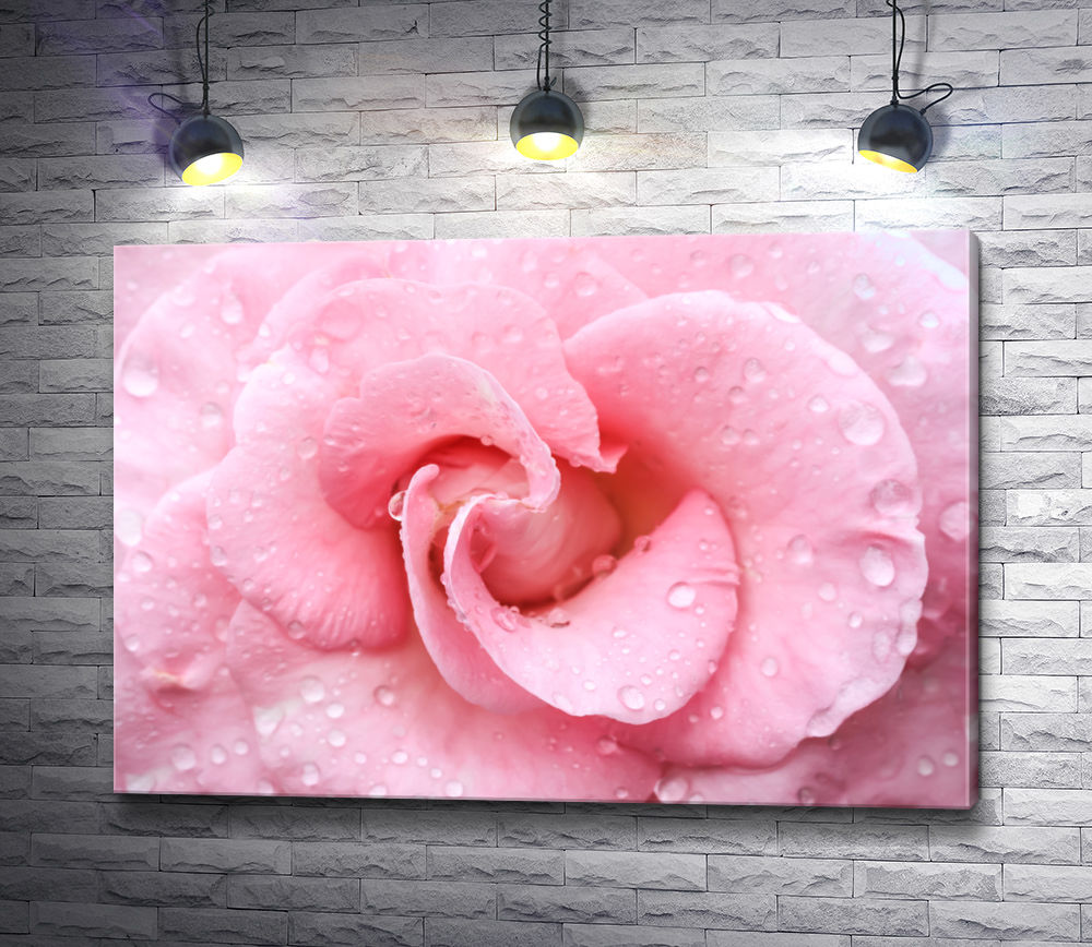 Картина "Сердце бело-лиловой розы "