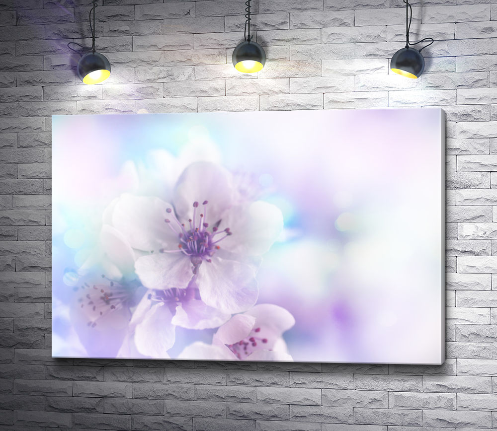 Картина "Нежные цветы сакуры в дымке"