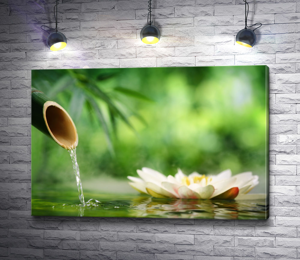 Картина "Лотос и бамбук с прозрачной водой"