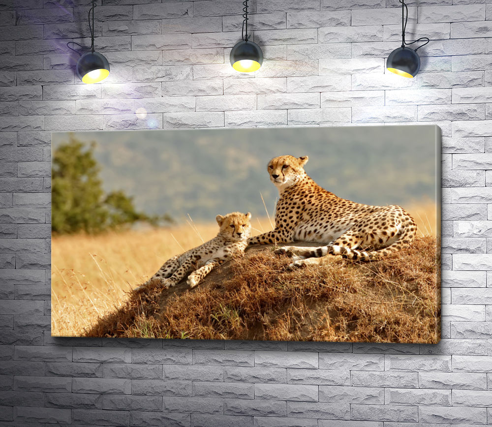 Картина "Два гордых леопарда,  Сафари "