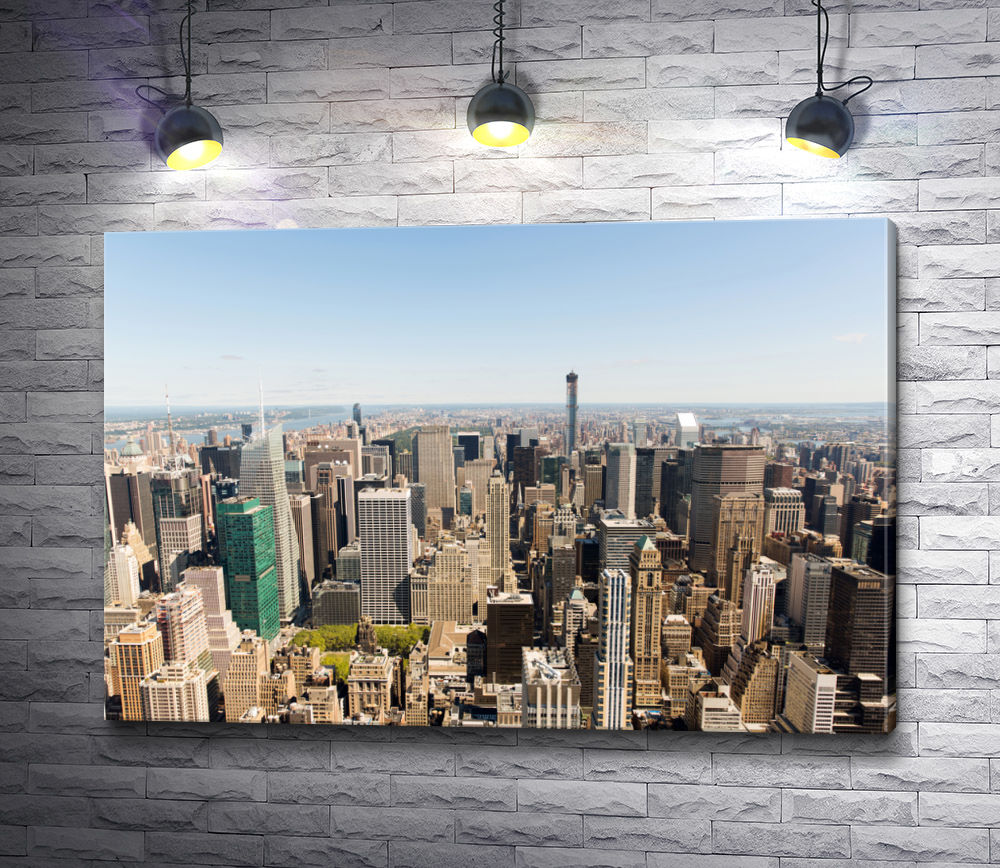 Картина "Обзорный вид на Нью Йорк,  США"