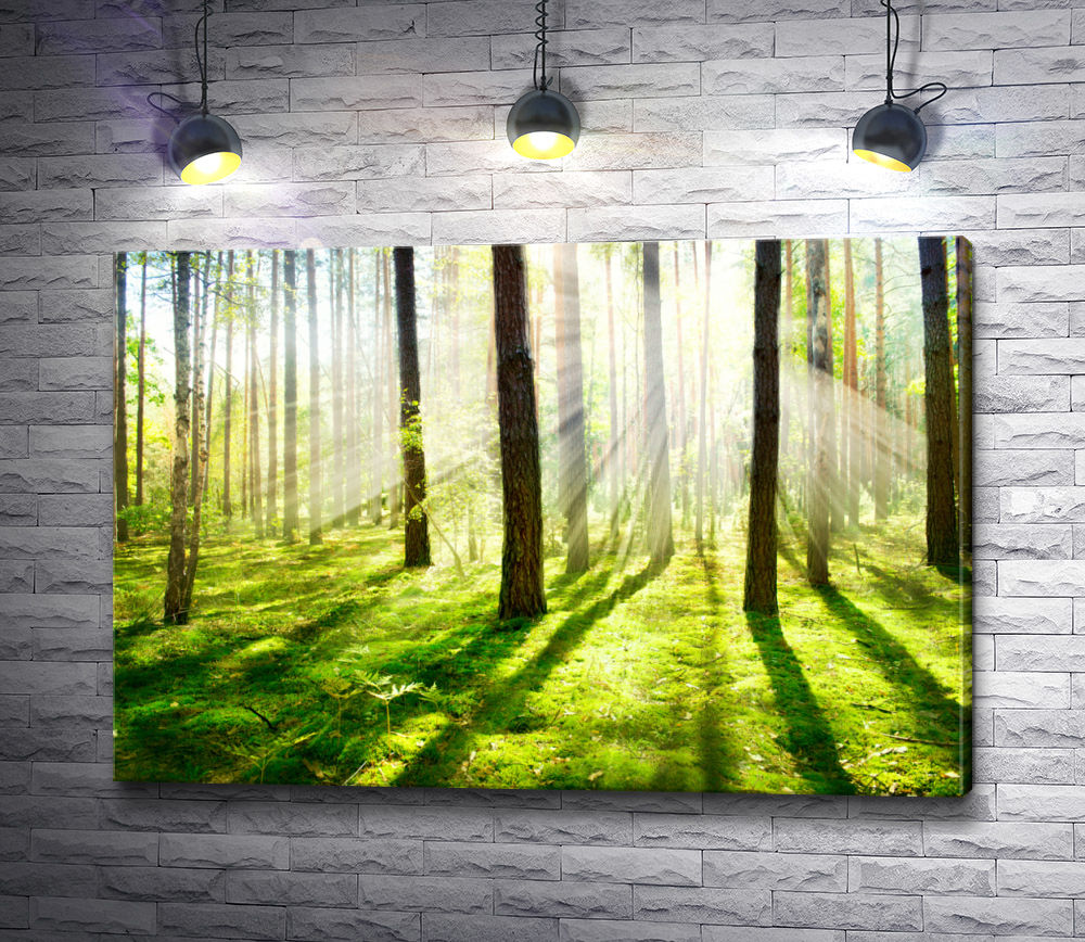 Картина "Лучики в лесу"