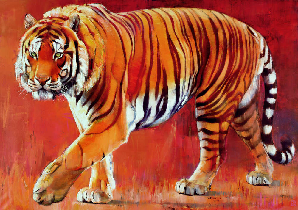репродукція картина-постер  Бенгальська тигр Марк Адлінгтон