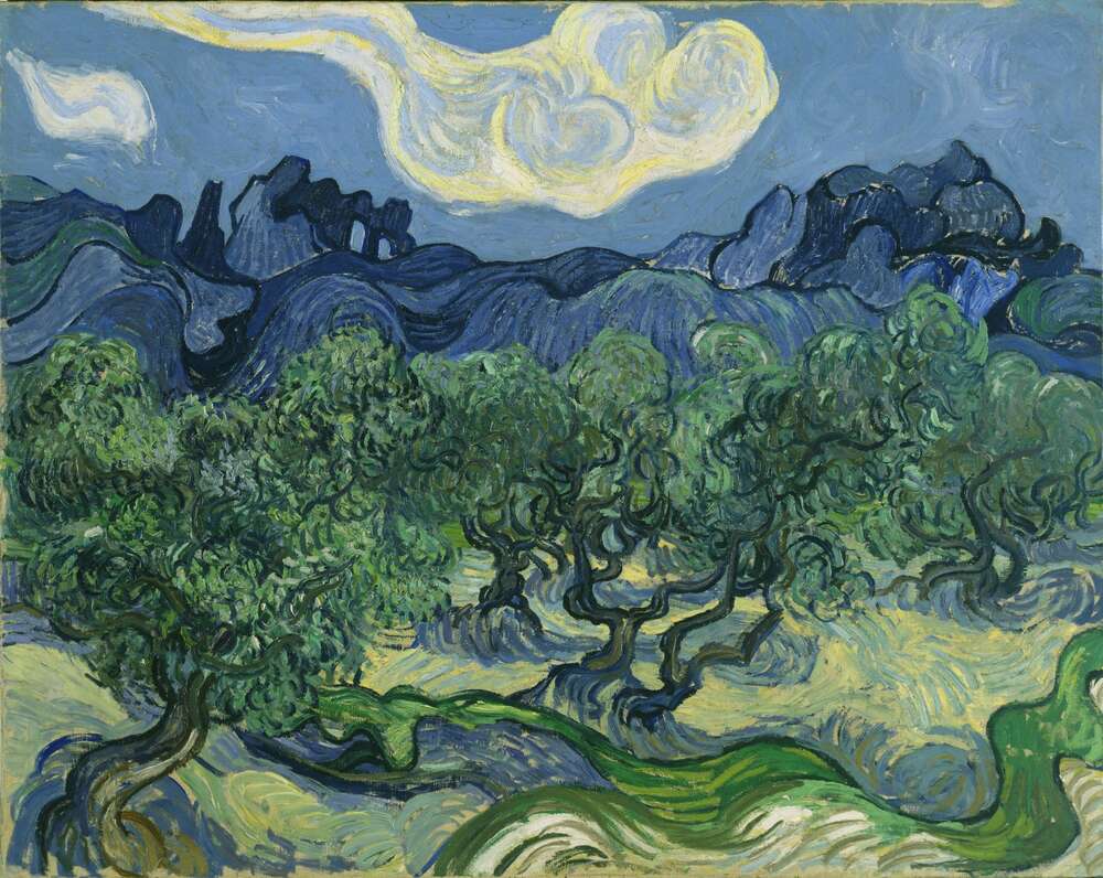 репродукція картина-постер  Оливкові дерева Вінсент Ван Гог