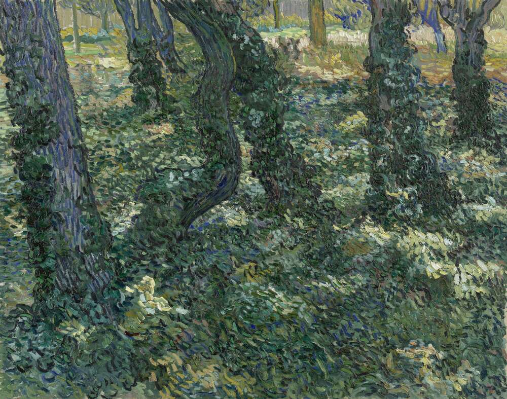 репродукція картина-постер  Стовбури дерев з плющем (Undergrowth), 1889 Вінсент Ван Гог