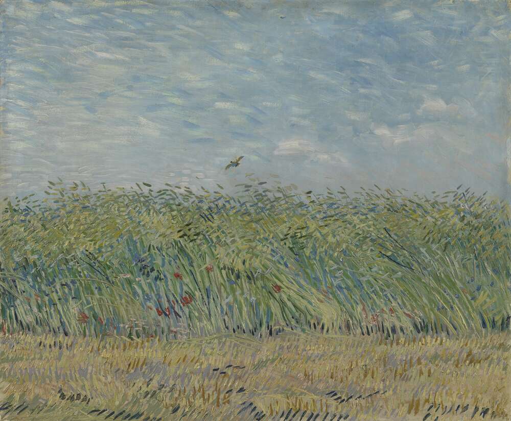 репродукція картина-постер  Пшеничне поле з куріпкою Вінсент Ван Гог