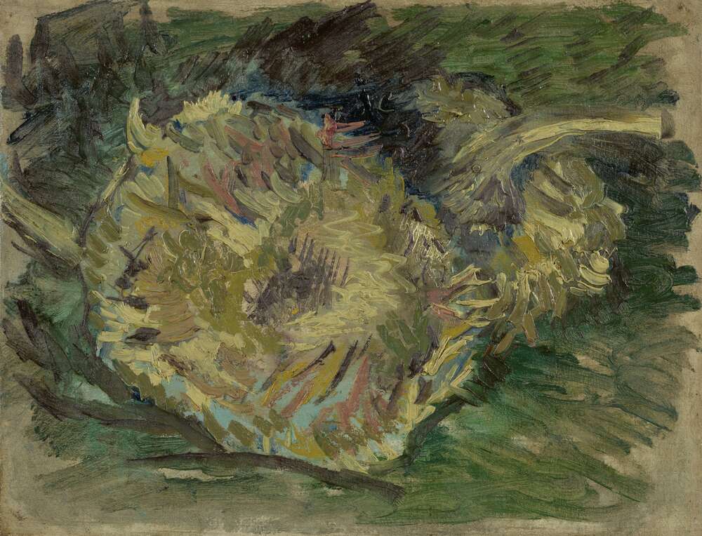 репродукция картина-постер  Подсолнухи пошли в семена Винсент Ван Гог