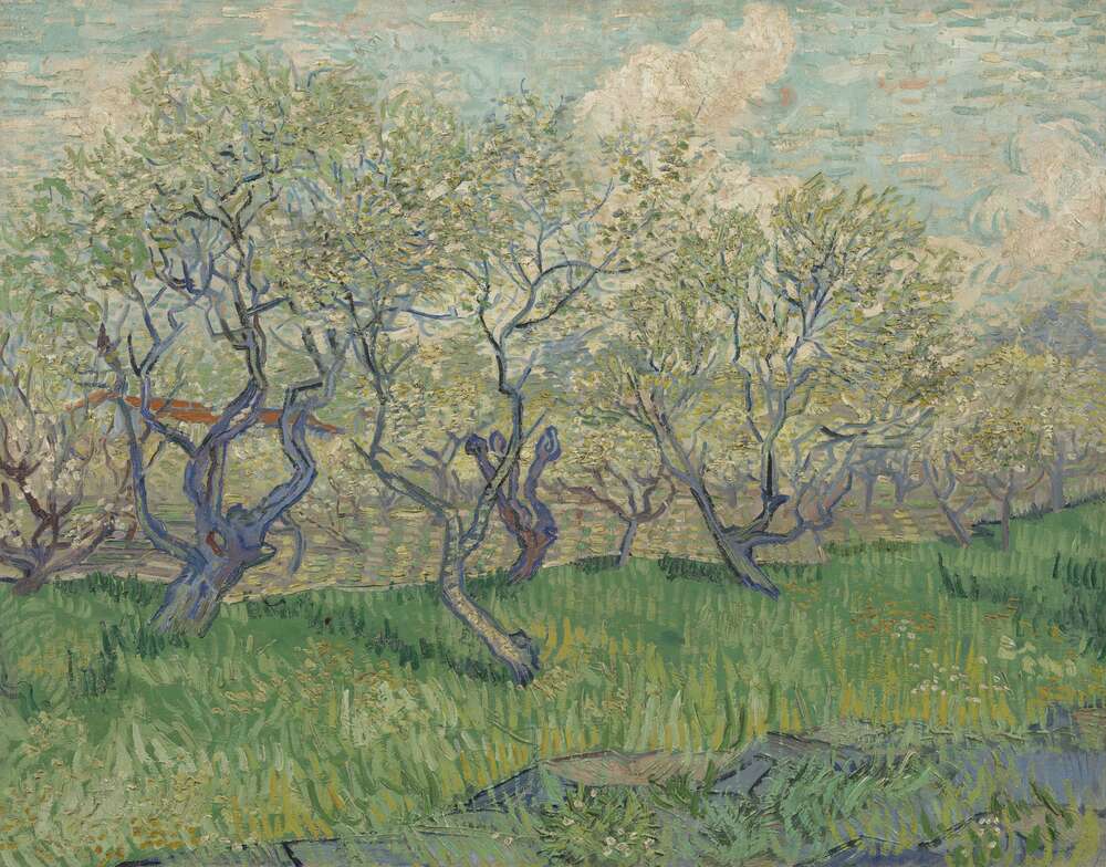 репродукція картина-постер  Фруктовий сад в цвіту (Orchard in Blossom), 1888 Вінсент Ван Гог
