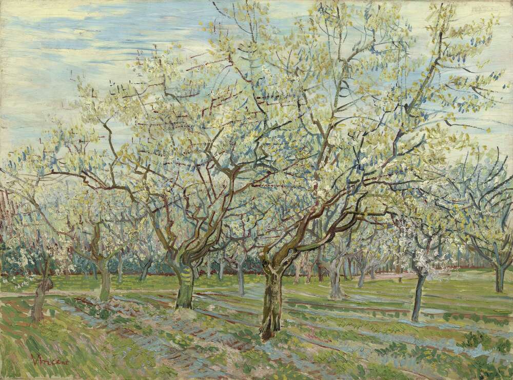 репродукція картина-постер  Фруктовий сад з квітучими сливами (Orchard with Blossoming Plum Trees), 1888 Вінсент Ван Гог