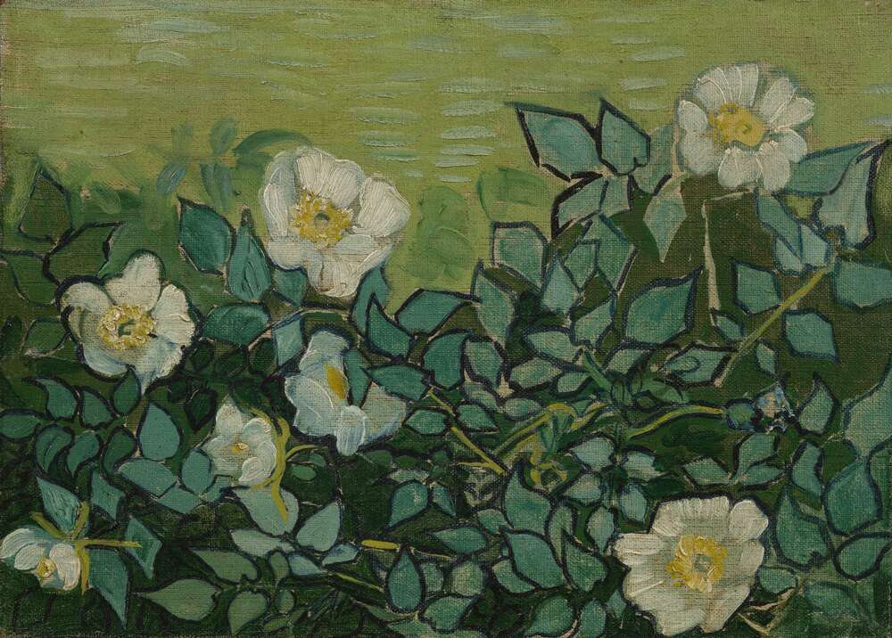 репродукція картина-постер  Дикі троянди, 1890 Вінсент Ван Гог