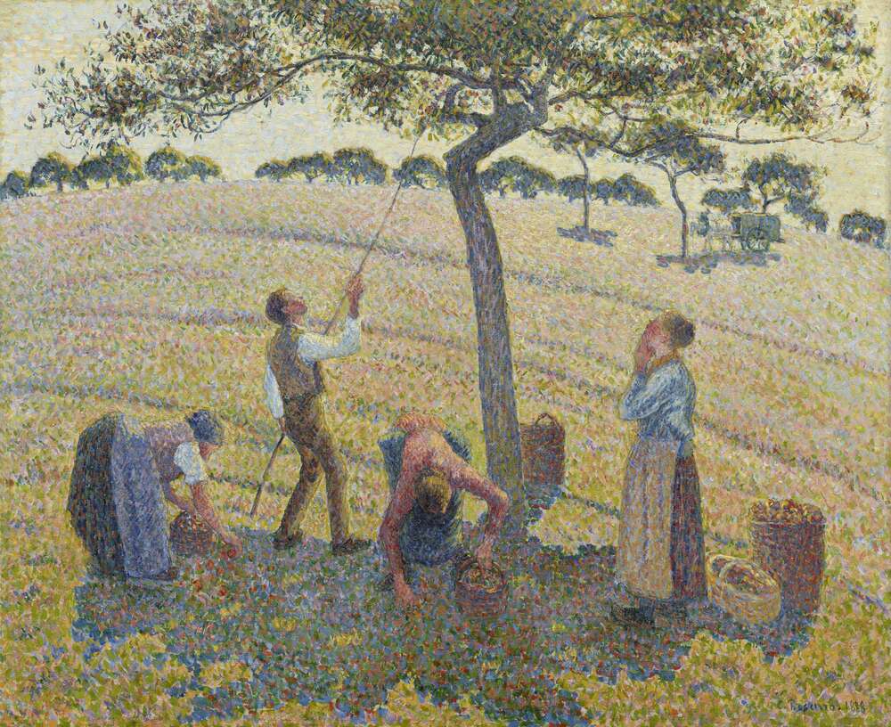 репродукція картина-постер  Збирачі яблук, 1888 Каміль Пісарро
