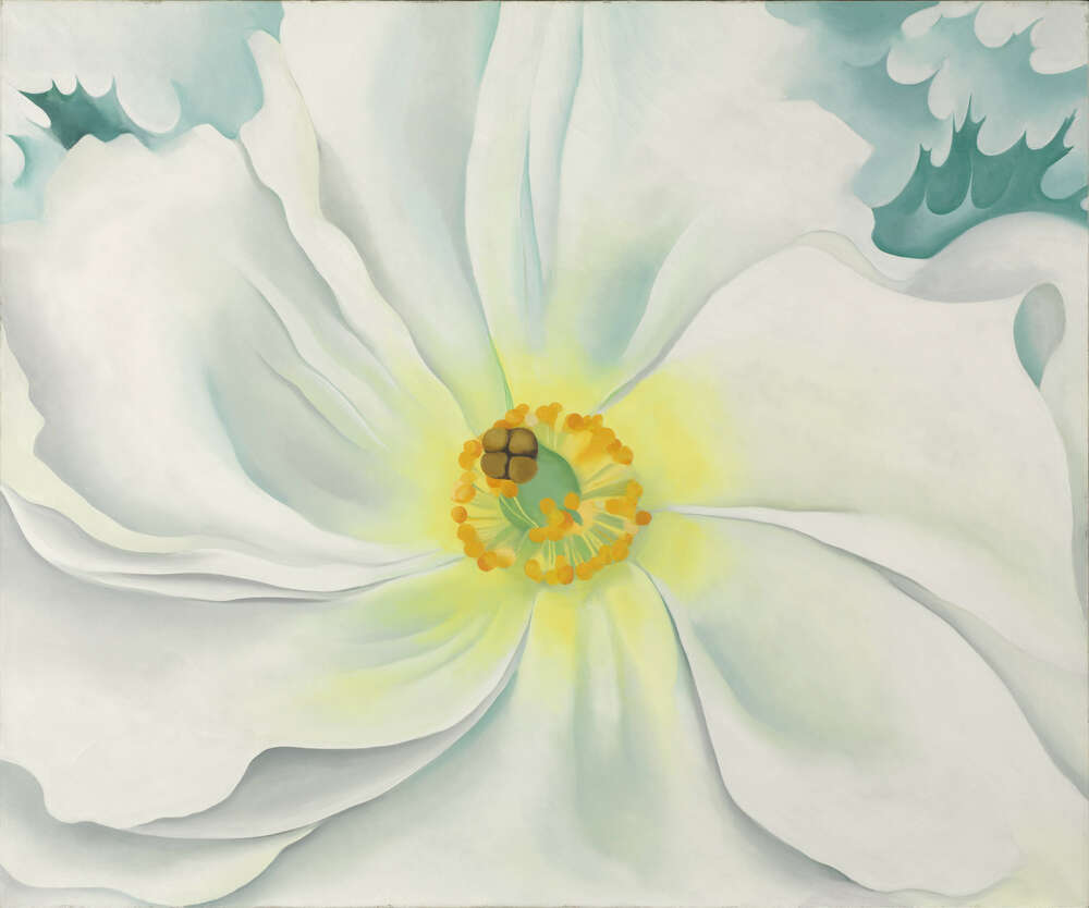 репродукція картина-постер  Біла квітка Джорджія О'Кіфф