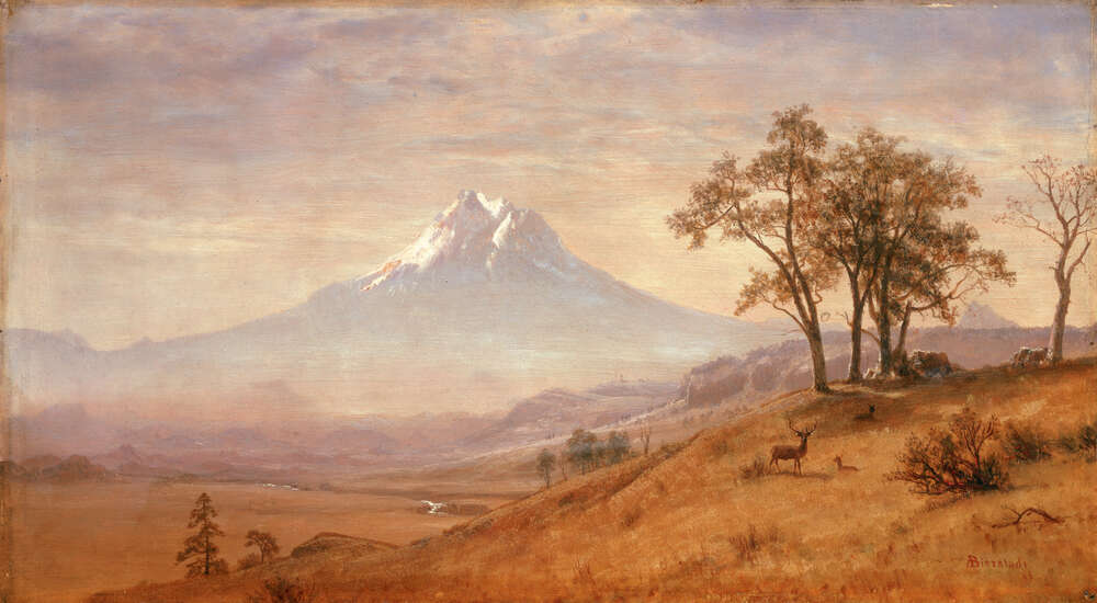 репродукція картина-постер  Вулкан Маунт Худ Альберт Бірштадт