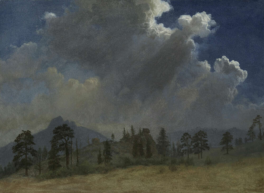 репродукція картина-постер  Ялинки та грозові хмари Альберт Бірштадт