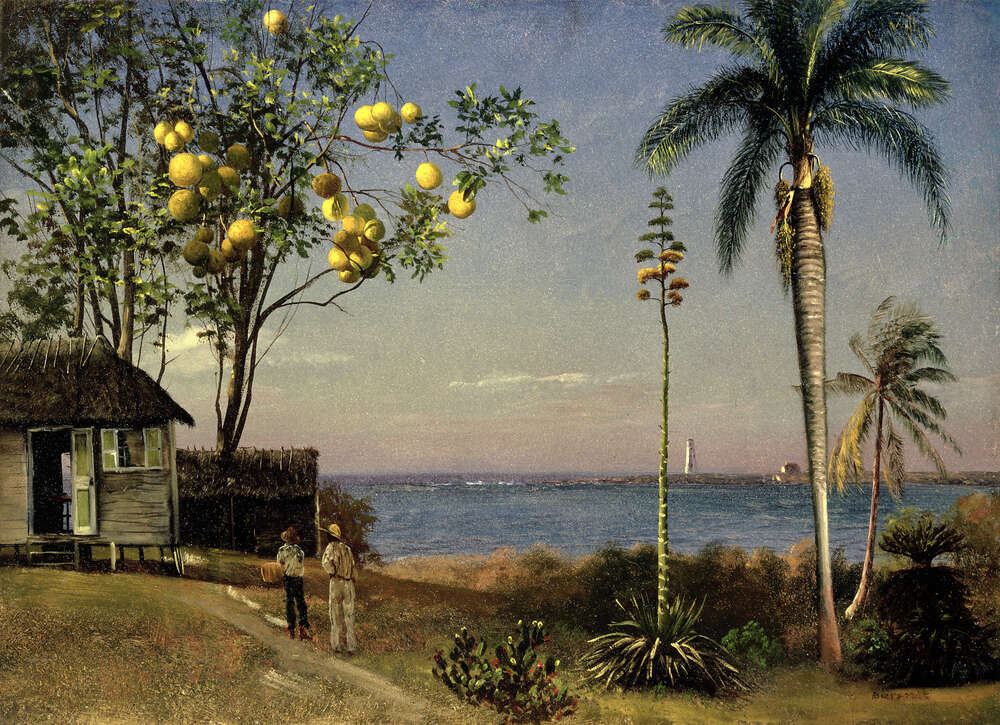 репродукція картина-постер  Тропічний краєвид Альберт Бірштадт