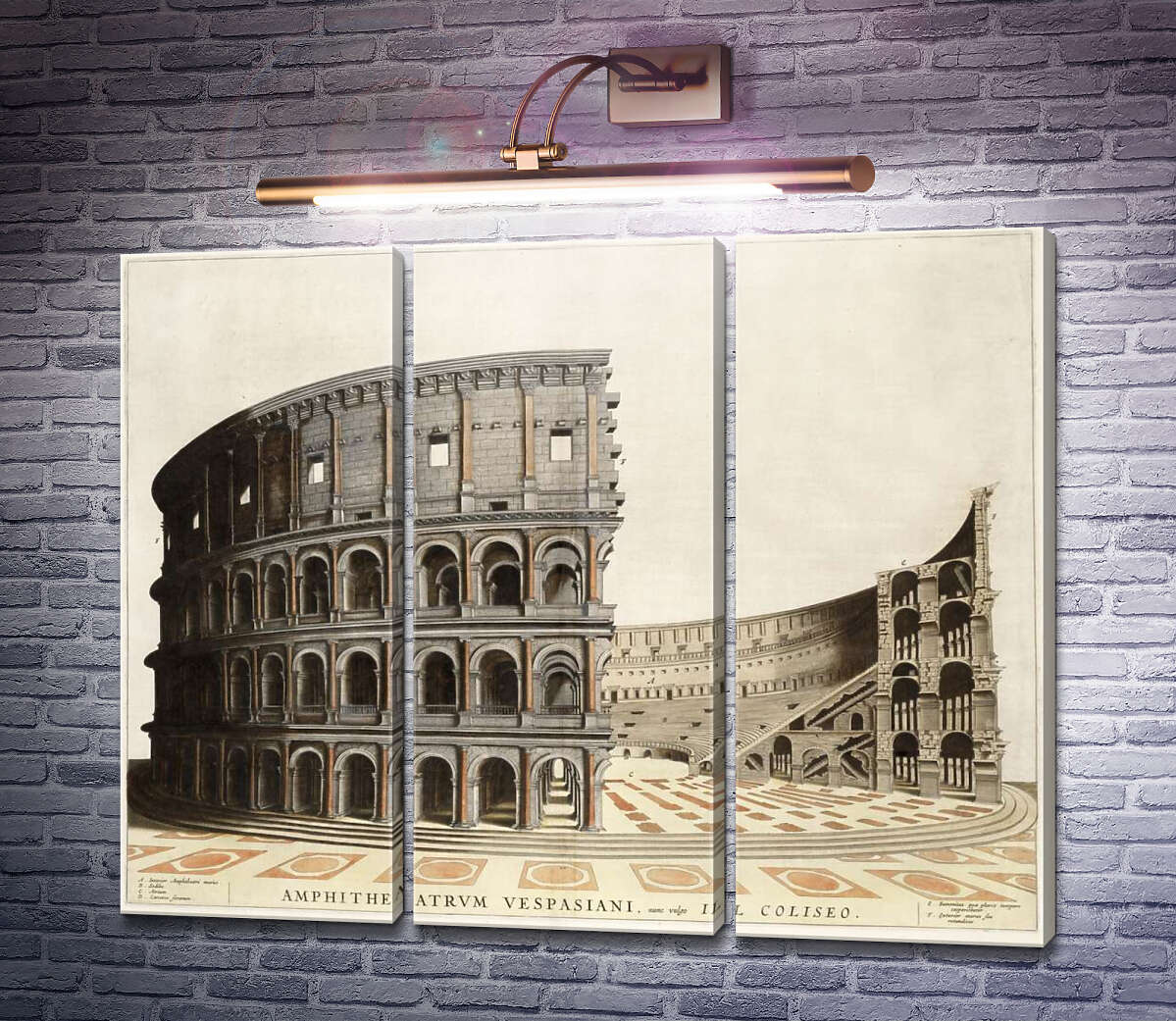 Модульная картина Строение римского Колизея (Colosseum) в разрезе (Модуль №2) Модульная картина Строение римского Колизея (Colosseum) в разрезе (Модуль №2)